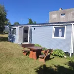 Brodka